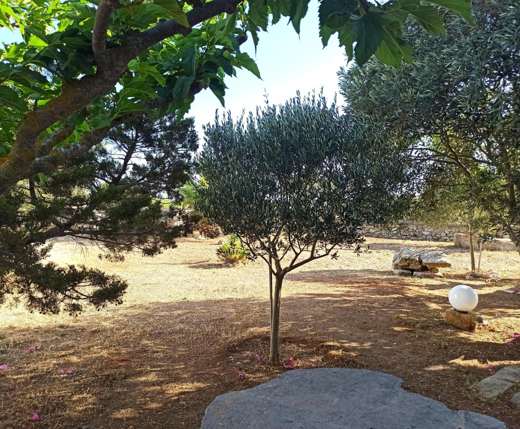 Kastraki Art Houses Kousounarion الغرفة الصورة